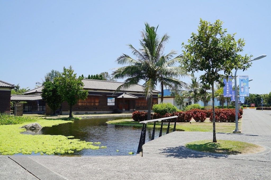 【花蓮免費景點推薦】亞洲最大海洋深層水園區 深足癒步道/台肥構內社/海角防空洞 D Park 台肥海洋深層水園區