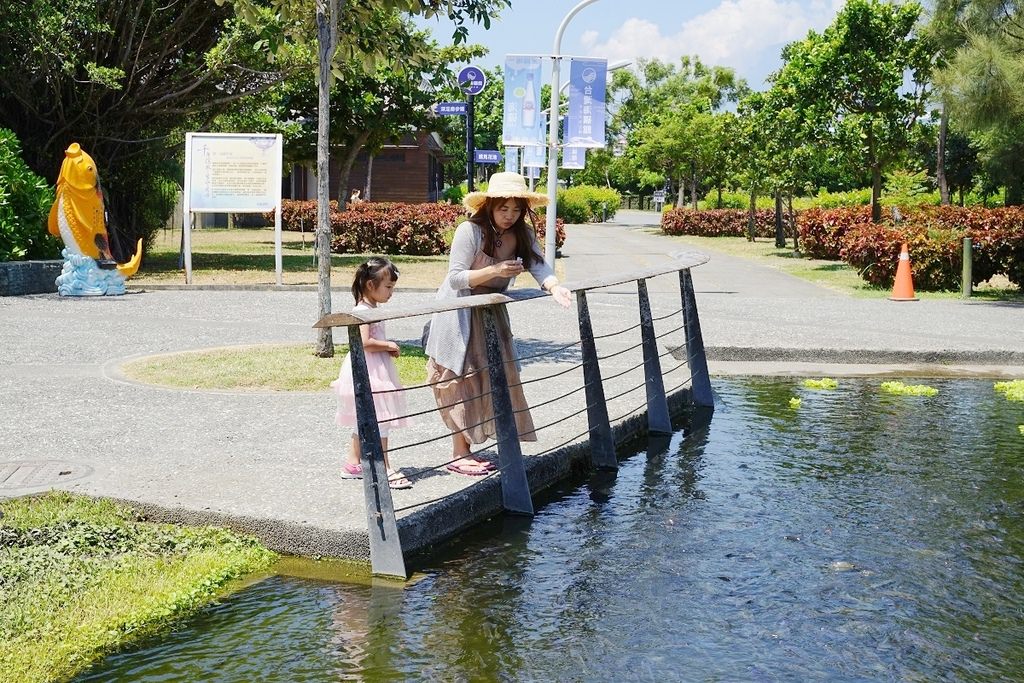 【花蓮免費景點推薦】亞洲最大海洋深層水園區 深足癒步道/台肥構內社/海角防空洞 D Park 台肥海洋深層水園區