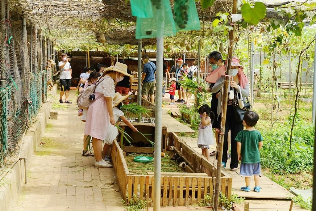 【桃園親子景點推薦】田園體驗餵可愛小動物 撈魚釣蝦親子同樂 陽榮休閒農場