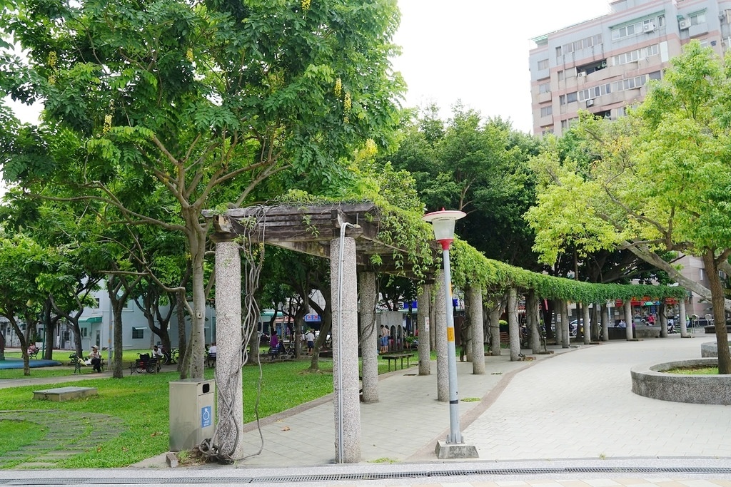 【桃園親子玩水公園推薦】蜜蜂磨石溜滑梯/瓢蟲攀爬架 小巧可愛兒童戲水區 永康公園