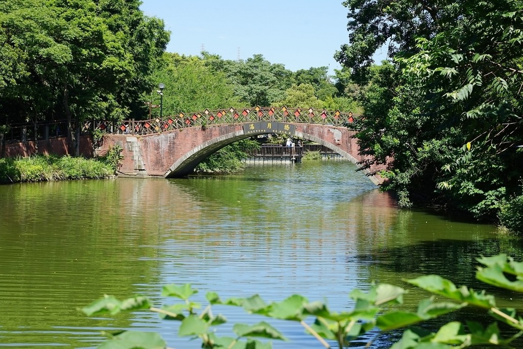 【桃園龍潭玩水景點推薦】巨龍造型兒童戲水區 炎炎夏日戲水趣 桃園龍潭大池兒童戲水區