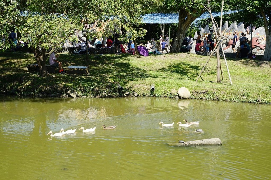 【桃園龍潭玩水景點推薦】巨龍造型兒童戲水區 炎炎夏日戲水趣 桃園龍潭大池兒童戲水區