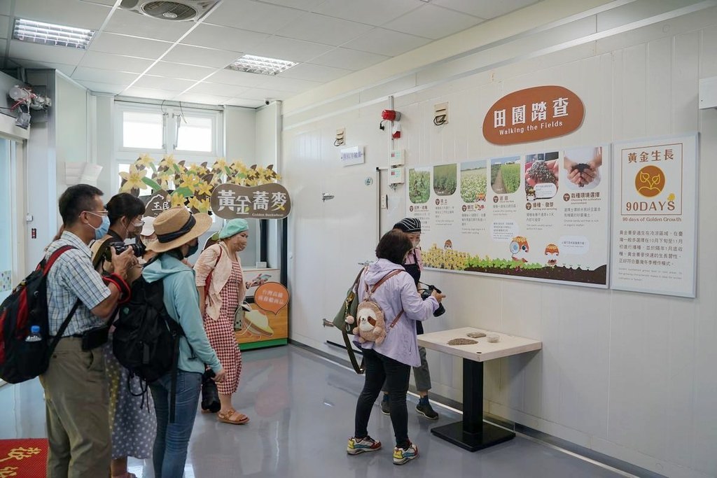 【台南玉井美食推薦】全台唯一黃金蕎麥主題餐廳 美味必點綜合精緻蕎麥套餐 黃金蕎麥探索館