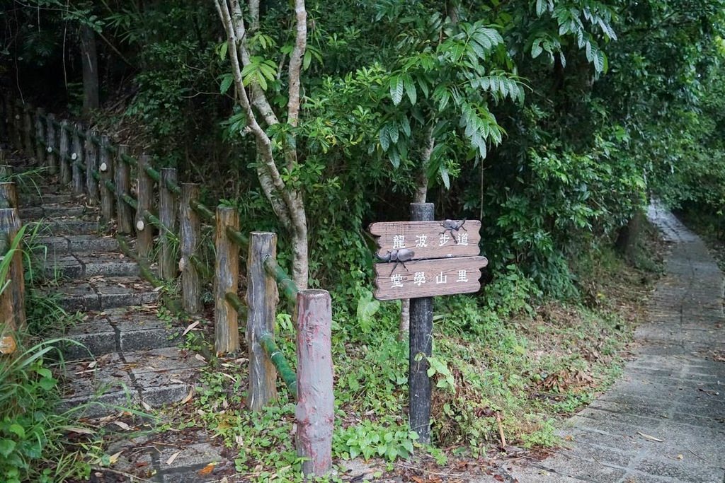 【台南楠西美食餐廳推薦】台南水果餐發源地 親子採果遊樂露營休憩 果農之家