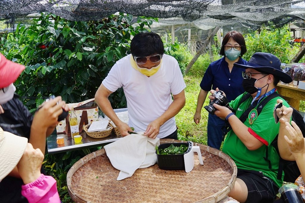 【南投埔里農場體驗推薦】埔里咖啡產銷班莊鴻模班長 獨特手作咖啡葉茶DIY 鴻模咖啡莊園