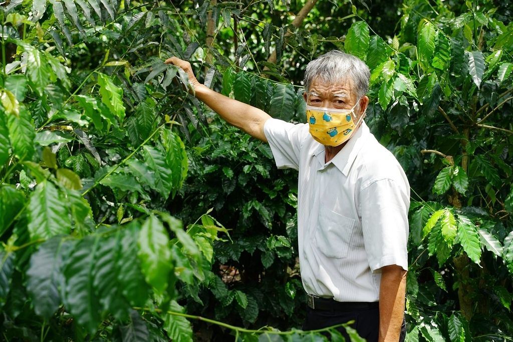 【南投埔里親子景點推薦】咖啡蛋彩手作DIY體驗 咖啡園區生態導覽 張隊長咖啡休閒生態農場