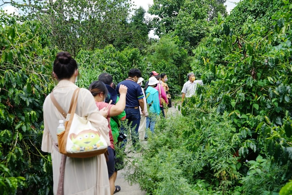 【南投埔里親子景點推薦】咖啡蛋彩手作DIY體驗 咖啡園區生態導覽 張隊長咖啡休閒生態農場