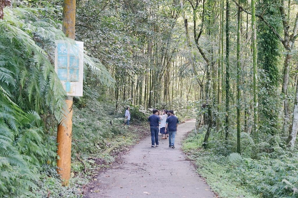 【南投仁愛鄉行程景點推薦】來雲的故鄉喝杯卡度八麒山咖啡 卡度部落石板屋 日據時代引水道