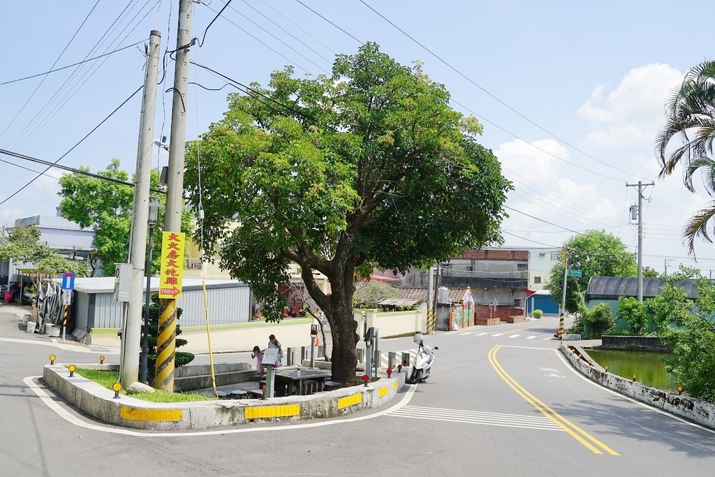 【桃園八德免費戲水景點推薦】百年老樹浣衣池 涔涔不絕清涼池水 大火房泉水浣衣池