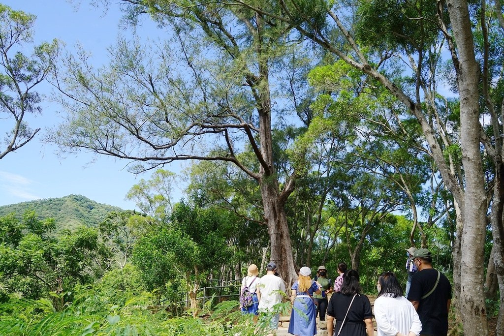 【屏東獅子鄉免費景點推薦】獅子鄉丹路村百年木麻黃 部落深度遊程景點 日本駐在所/交易所舊址