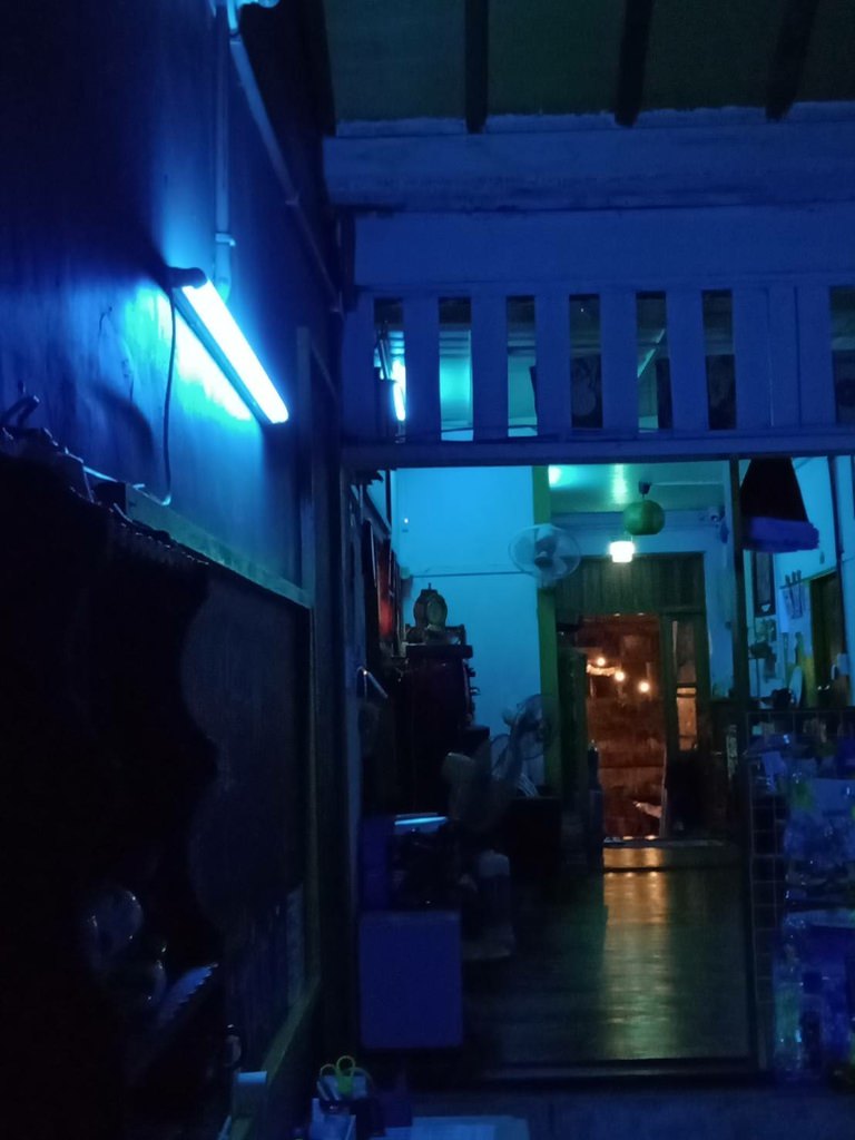 461856.jpg