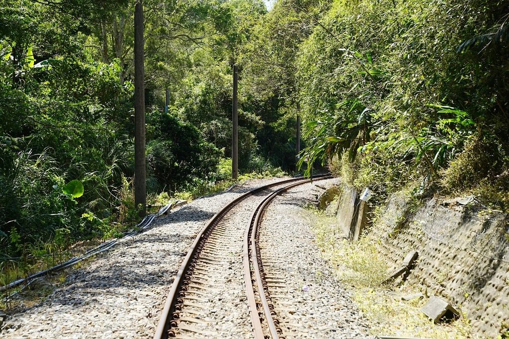 【苗栗三義景點推薦】舊山線鐵道自行車A路線心得分享 台鐵海拔最高車站 勝興車站