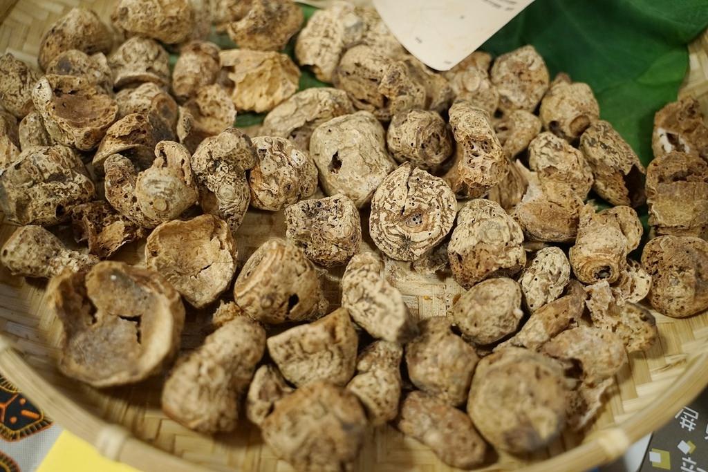 【看見家鄉 永續豐年】用影像說家鄉的故事 傳承在地鄉土特色 2022六校看見家鄉全紀錄