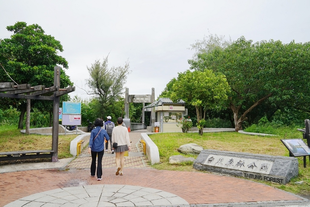 【台東景點推薦】公共藝術國際地標 山海鐵馬道必遊景點 臺東海濱公園