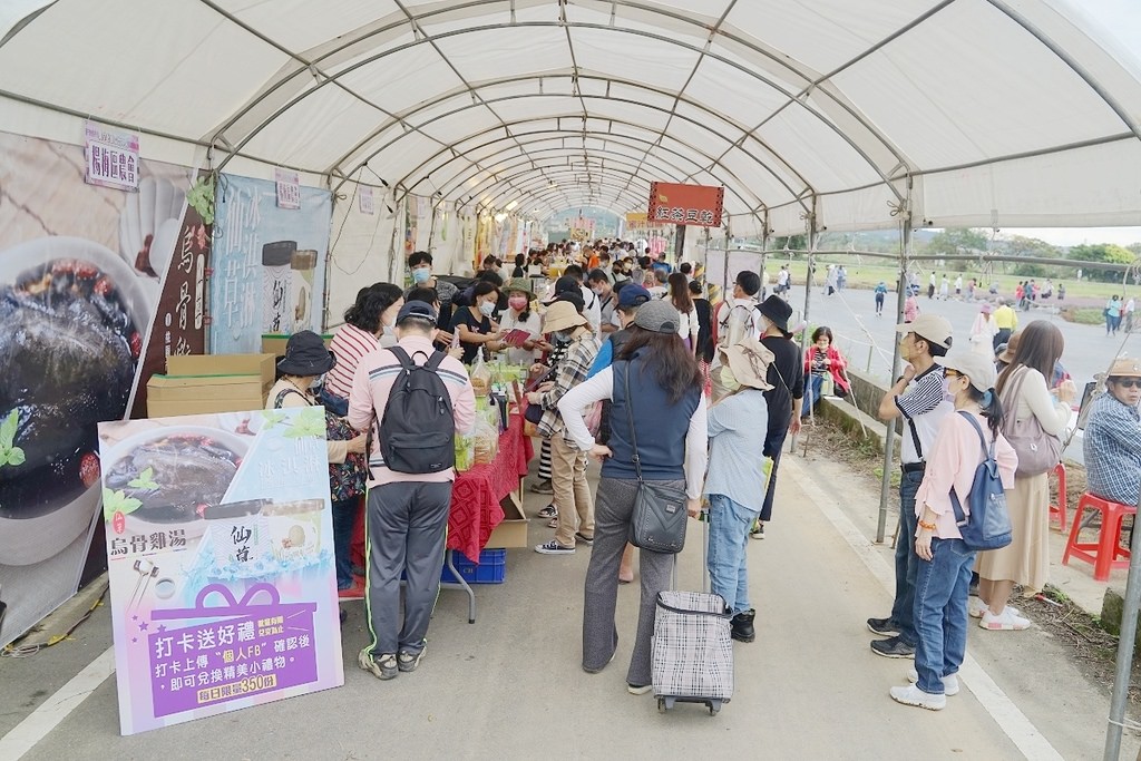 【2022桃園仙草花節】桃園12月限定景點 「仙茶之舞」紫色花海美景 11/27~12/11共15天