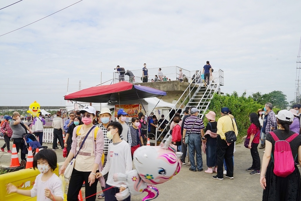 【2022桃園仙草花節】桃園12月限定景點 「仙茶之舞」紫色花海美景 11/27~12/11共15天