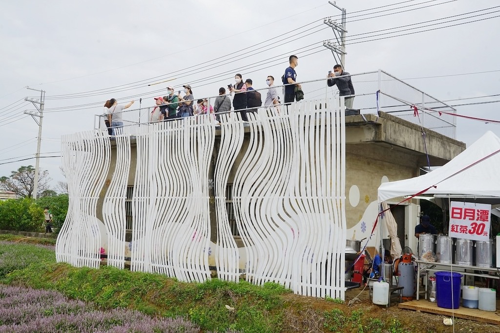 【2022桃園仙草花節】桃園12月限定景點 「仙茶之舞」紫色花海美景 11/27~12/11共15天