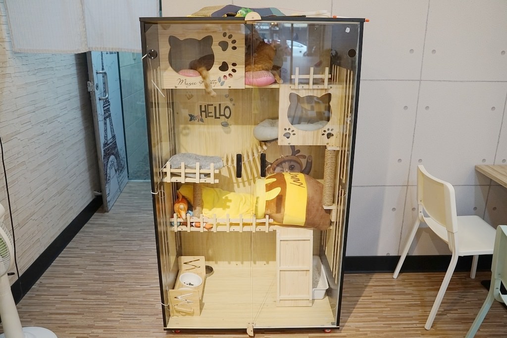 【中壢後站聚餐餐廳推薦】中壢貓咪餐廳好選擇 早午餐/義大利麵/比薩/舒芙蕾 歐米茄義式料理
