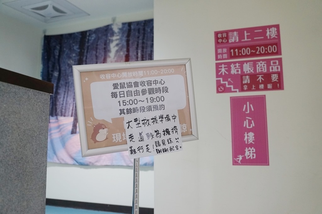 【台北倉鼠認養推薦】台灣第一個鼠類動物保護團體 認養鼠鼠流程介紹 社團法人台灣愛鼠協會