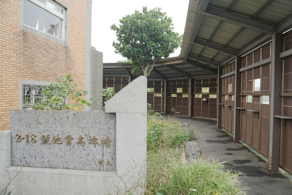 【桃園賞鳥景點推薦】豐富鳥類生態 校外教學好選擇 富竹賞鳥埤塘(第2-18號池賞鳥埤塘)