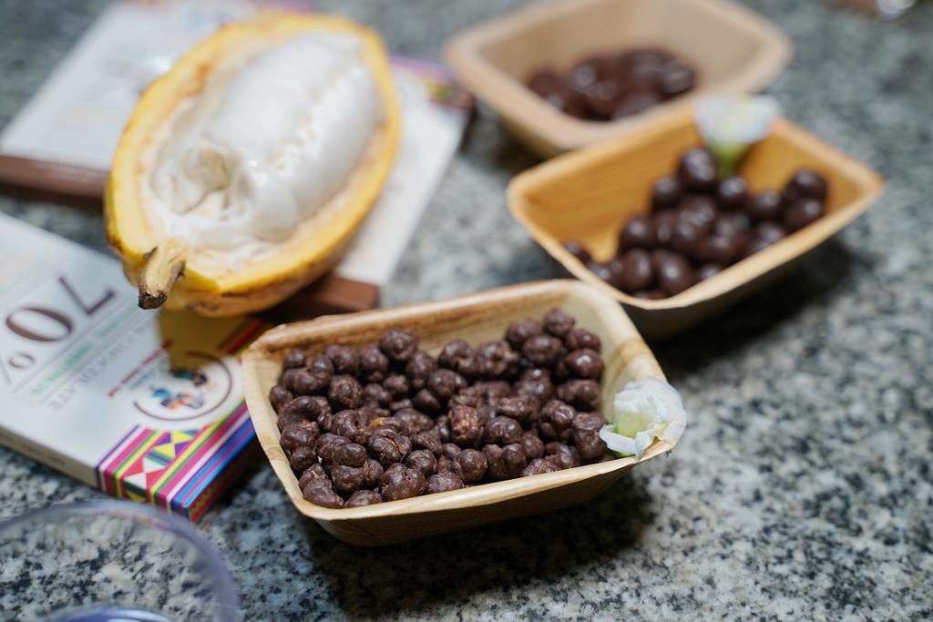 【泰國清邁巧克力農場推薦】清邁在地可可農場 巧克力愛好者必訪 Hill Tribe Cocoa Cof โกโก้ดอย