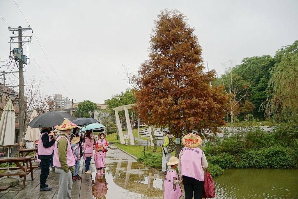 【桃園親子行程景點推薦】都市農夫稻穗收割體驗營 專業生態導覽 大有梯田生態公園