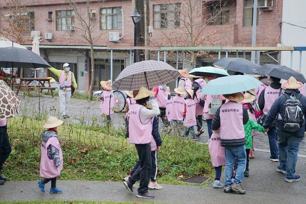 【桃園親子行程景點推薦】都市農夫稻穗收割體驗營 專業生態導覽 大有梯田生態公園