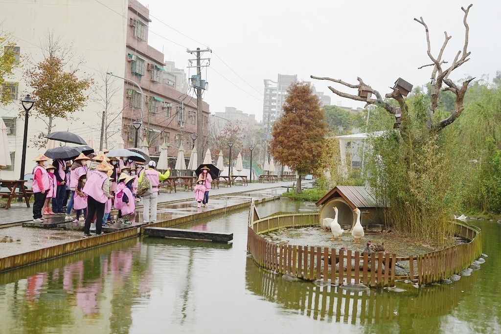 【桃園親子行程景點推薦】都市農夫稻穗收割體驗營 專業生態導覽 大有梯田生態公園