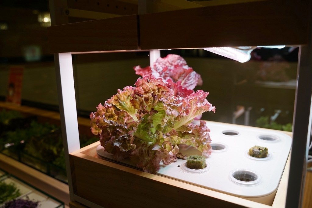 【宜蘭礁溪吃到飽餐廳推薦】宜蘭在地特色好食材 每日手工製作甜點 享享自助百匯