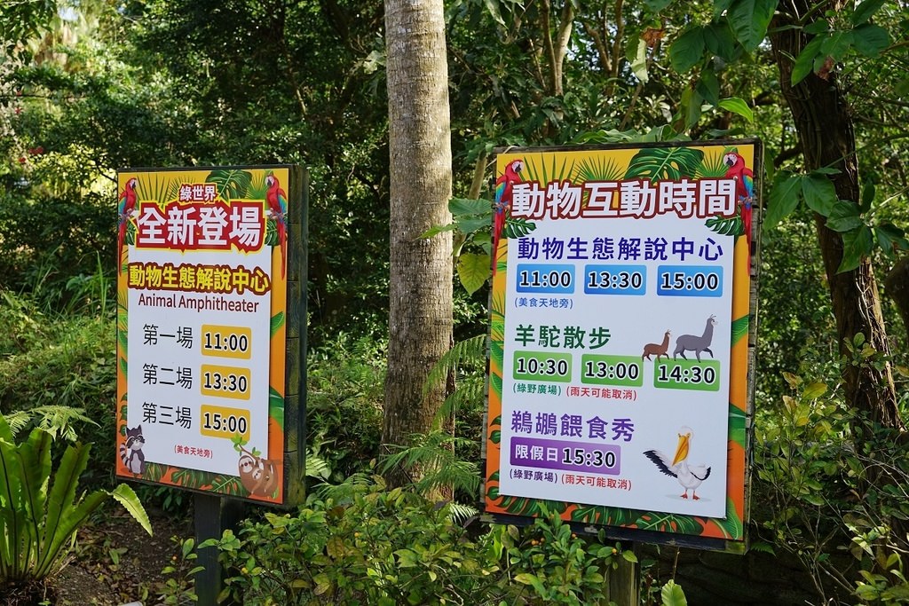【新竹親子景點推薦】亞洲最大亞熱帶雨林生態園區 超可愛羊駝散步/鵜鶘餵食秀 綠世界生態農場