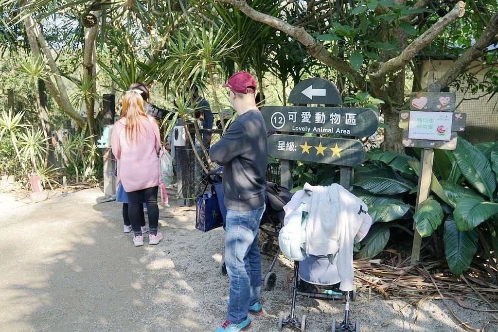 【新竹親子景點推薦】亞洲最大亞熱帶雨林生態園區 超可愛羊駝散步/鵜鶘餵食秀 綠世界生態農場