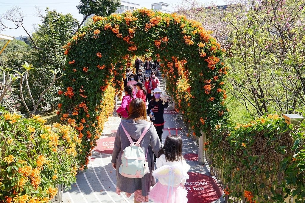 【鶯歌免費景點推薦】新北最強炮仗花隧道 三層樓旋轉溜滑梯 鶯歌永吉公園 鶯歌永吉公園