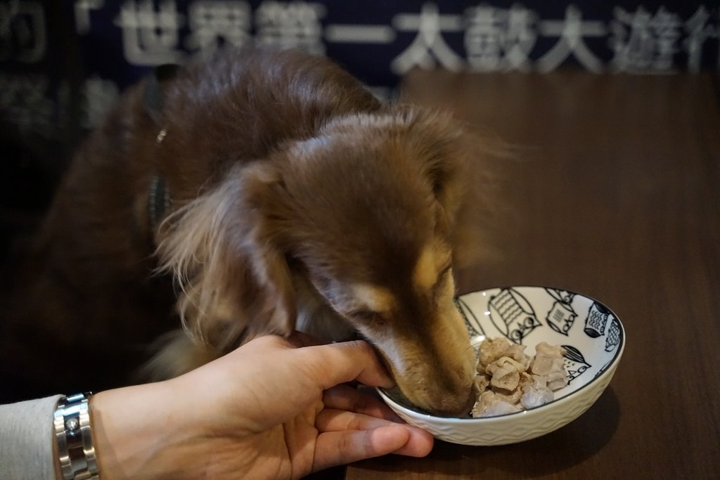 【板橋居酒屋推薦】板橋寵物友善餐廳好選擇 新板特區第一家和風洋食餐酒館 三颯舞串燒居酒屋