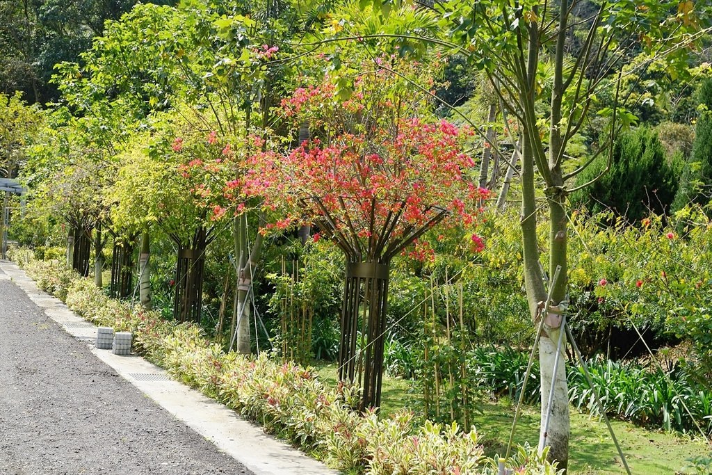 【新北三峽無菜單料理餐廳推薦】四季花園聚餐包廂好選擇 大漢溪景觀餐廳30年主廚好味道 鳶山紅樓