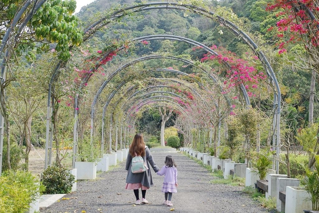 【新北三峽無菜單料理餐廳推薦】四季花園聚餐包廂好選擇 大漢溪景觀餐廳30年主廚好味道 鳶山紅樓