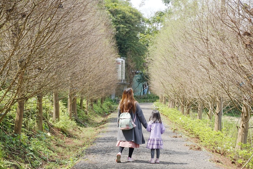 【新北三峽無菜單料理餐廳推薦】四季花園聚餐包廂好選擇 大漢溪景觀餐廳30年主廚好味道 鳶山紅樓
