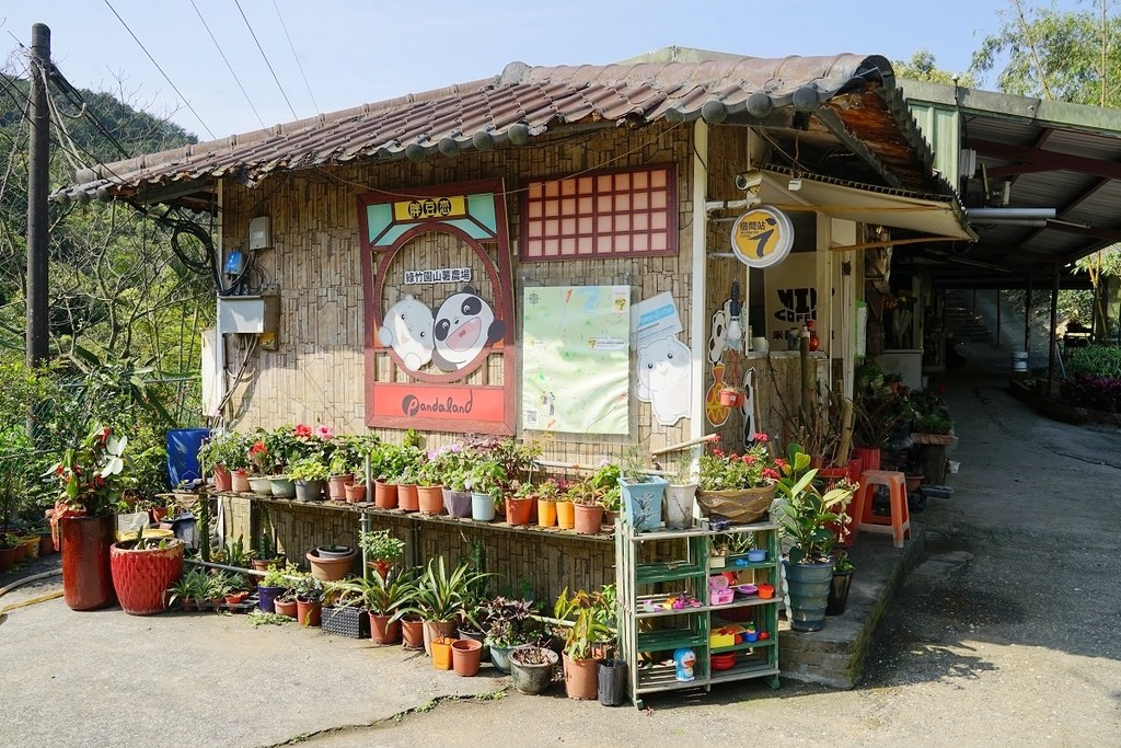 【基隆親子行程推薦】拔蘿蔔體驗+小盆栽/山藥麻糬湯圓DIY 基隆山海農村餐 綠竹園山薯農場