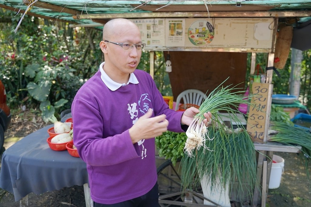 【基隆親子行程推薦】拔蘿蔔體驗+小盆栽/山藥麻糬湯圓DIY 基隆山海農村餐 綠竹園山薯農場