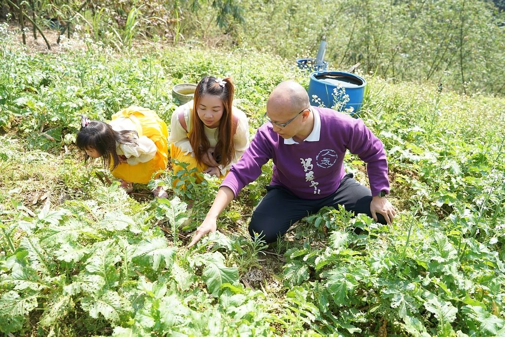 【基隆親子行程推薦】拔蘿蔔體驗+小盆栽/山藥麻糬湯圓DIY 基隆山海農村餐 綠竹園山薯農場