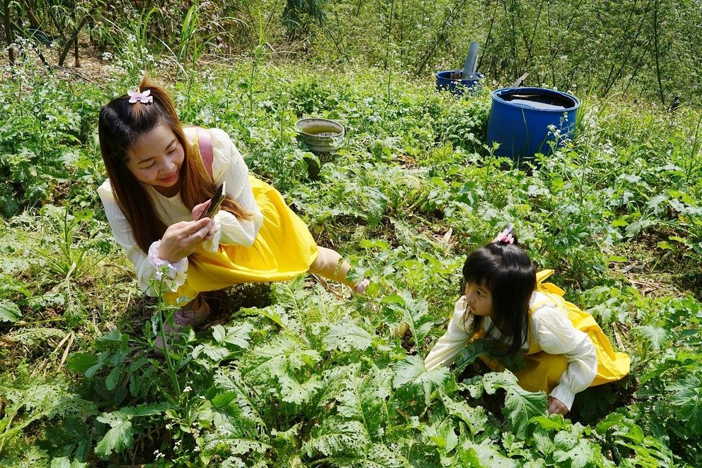 【基隆親子行程推薦】拔蘿蔔體驗+小盆栽/山藥麻糬湯圓DIY 基隆山海農村餐 綠竹園山薯農場