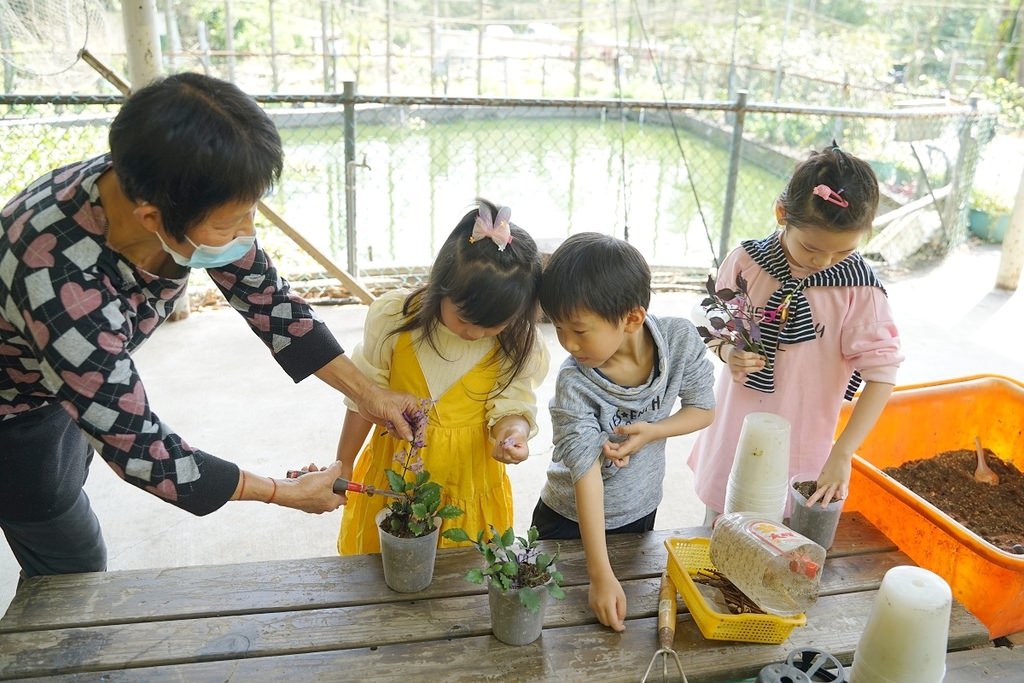 【基隆親子行程推薦】拔蘿蔔體驗+小盆栽/山藥麻糬湯圓DIY 基隆山海農村餐 綠竹園山薯農場