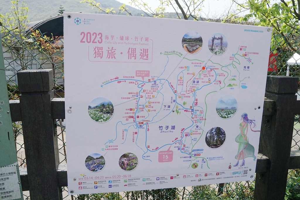 【2023竹子湖海芋季開跑】竹子湖地區農園地景藝術展示 台北市春遊熱門景點 竹子湖鐘聲幸福觀景台