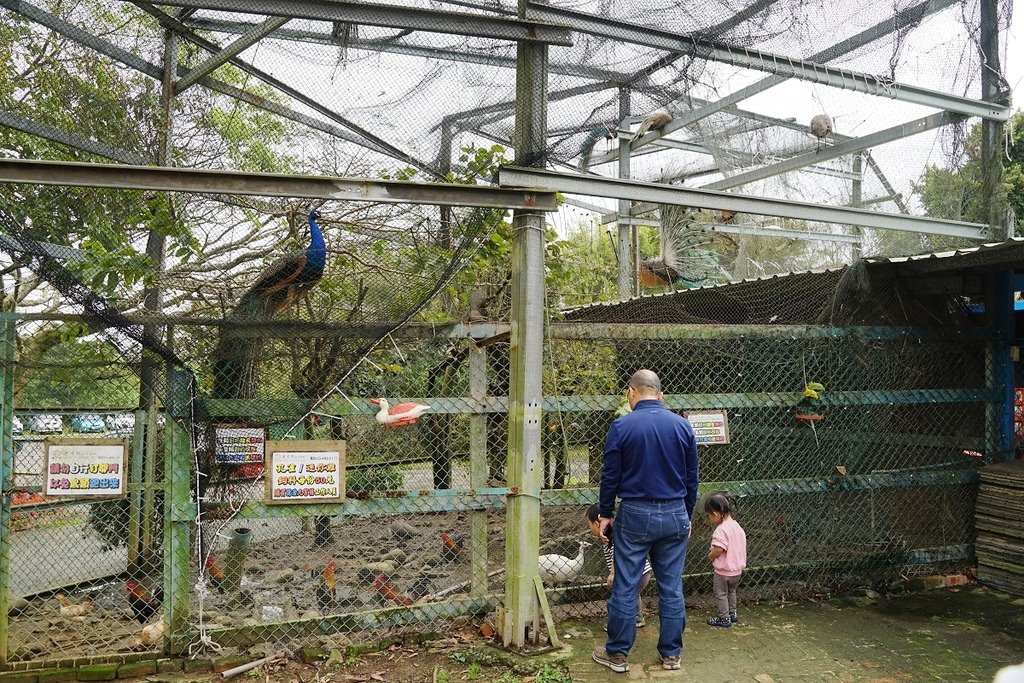 【桃園龍潭親子農場推薦】超豐富親子體驗可愛小動物 全家大小焢窯烤肉 老貝殼休閒農場