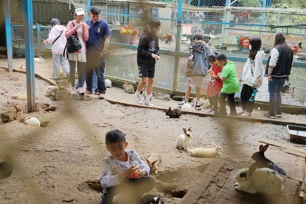 【桃園龍潭親子農場推薦】超豐富親子體驗可愛小動物 全家大小焢窯烤肉 老貝殼休閒農場