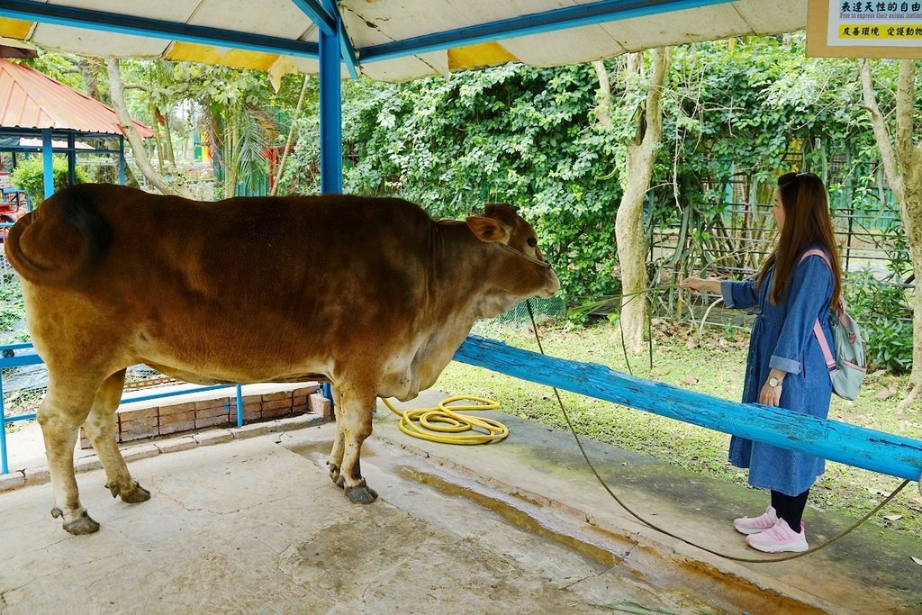 【桃園龍潭親子農場推薦】超豐富親子體驗可愛小動物 全家大小焢窯烤肉 老貝殼休閒農場