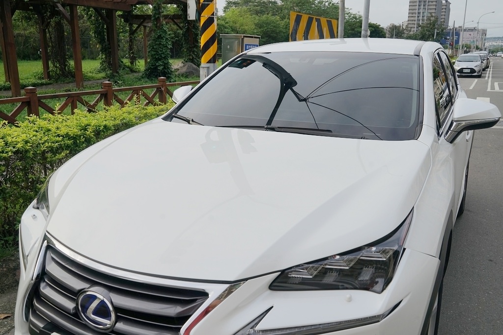 【竹北洗車打蠟推薦】豪華手工洗車+頂級棕櫚蠟 新竹第一間JOWUA特斯拉實體配件專賣店 洗來登竹北汽車美容中心