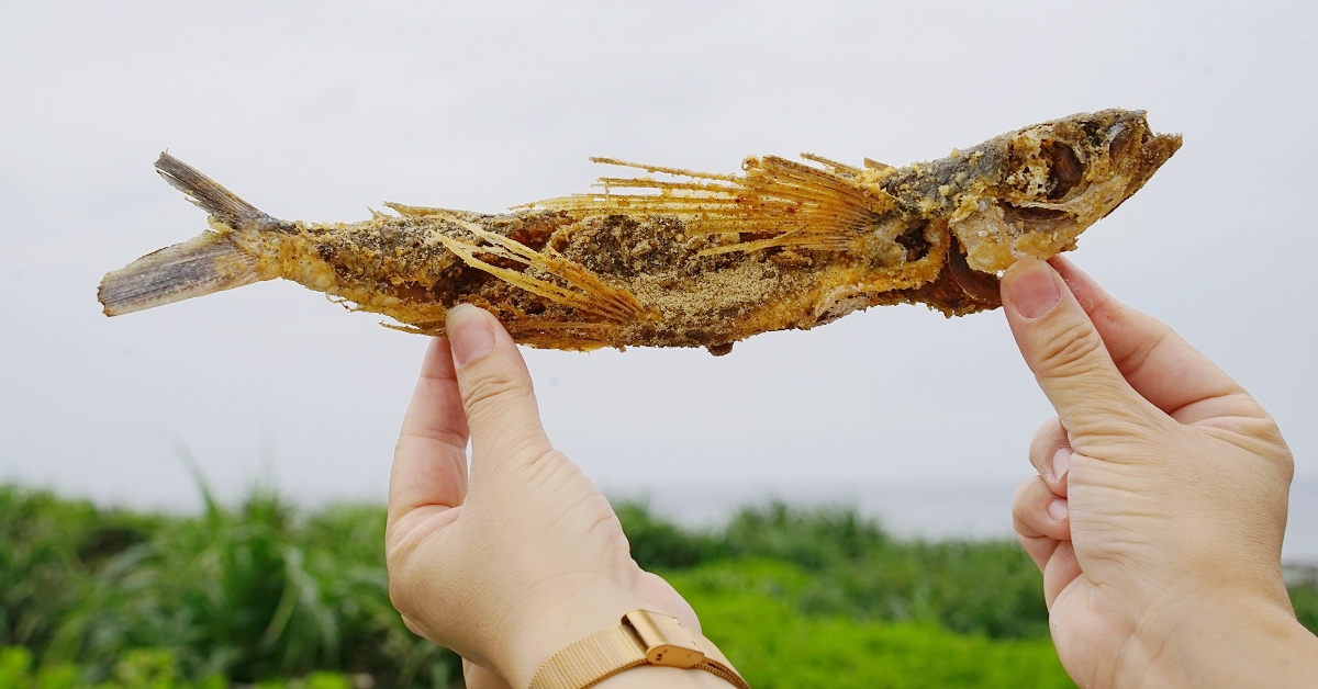 [食記] 綠島小吃 酥炸飛魚 阿嬤的蔥油餅