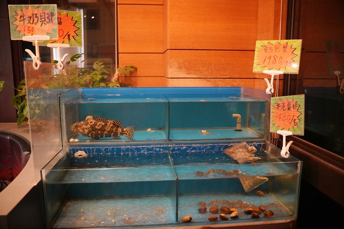 【食鍋性也】青埔美食火鍋吃到飽推薦 鮮魚蛤蜊鮮美甘甜湯頭 超低價+219升級肉品吃的超過癮 - 第4張圖