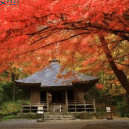 【星浩旅行社】日本賞楓主題行程推薦 奧入瀨溪賞楓之旅 溫泉/料理/絕景/酒水暢飲 全程無自理餐 - 第6張圖 【星浩旅行社】日本賞楓主題行程推薦 奧入瀨溪賞楓之旅 溫泉/料理/絕景/酒水暢飲 全程無自理餐