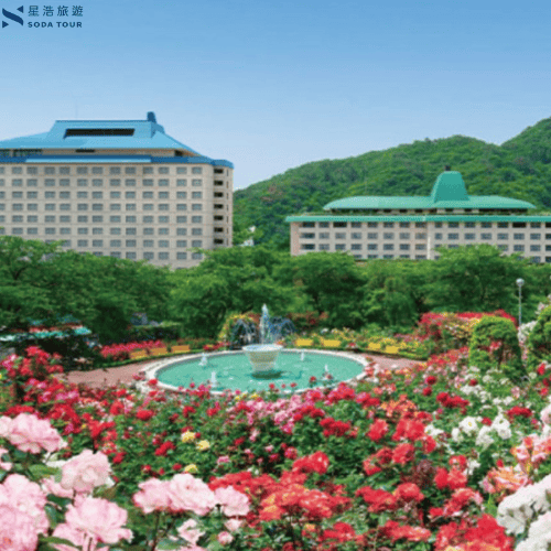 【星浩旅行社】日本賞楓主題行程推薦 奧入瀨溪賞楓之旅 溫泉/料理/絕景/酒水暢飲 全程無自理餐 - 第10張圖 【星浩旅行社】日本賞楓主題行程推薦 奧入瀨溪賞楓之旅 溫泉/料理/絕景/酒水暢飲 全程無自理餐